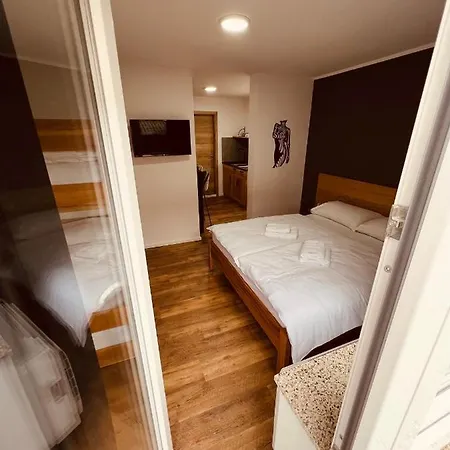 Pj Cerklje - 5min To Airport - Free Parking