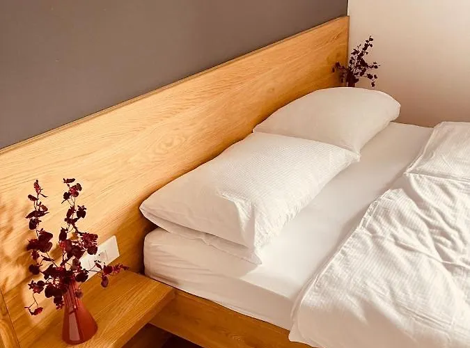 Hotel Pjagodic Cerklje - 5min To Airport - Free Parking Cerklje na Gorenjskem